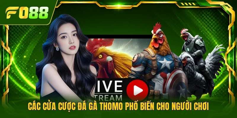 Các cửa cược đá gà Thomo phổ biến cho người chơi