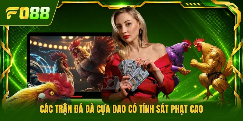 Các trận đá gà cựa dao có tính sát phạt cao