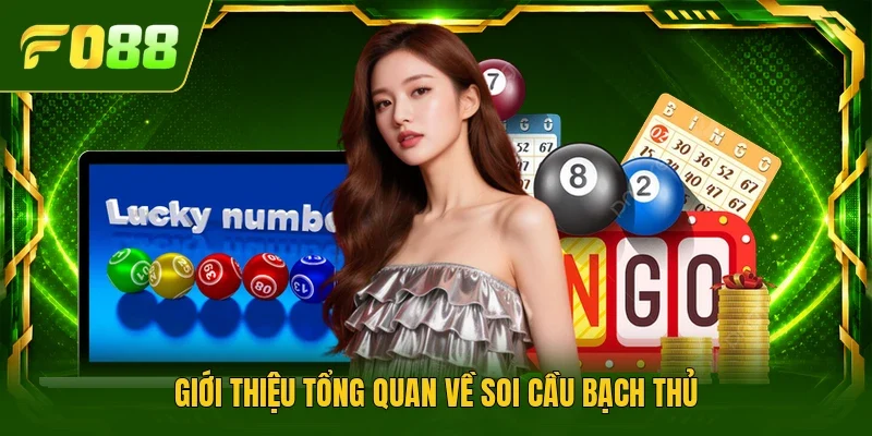 Giới thiệu tổng quan về soi cầu bạch thủ