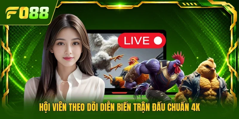 Hội viên theo dõi diễn biến trận đấu chuẩn 4K