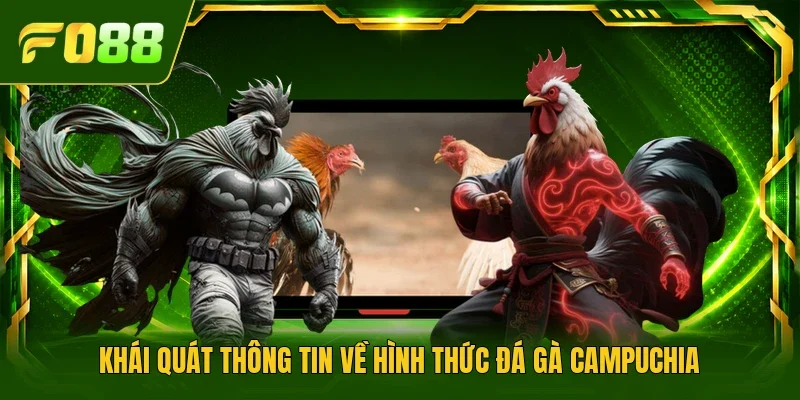 Khái quát thông tin về hình thức đá gà Campuchia