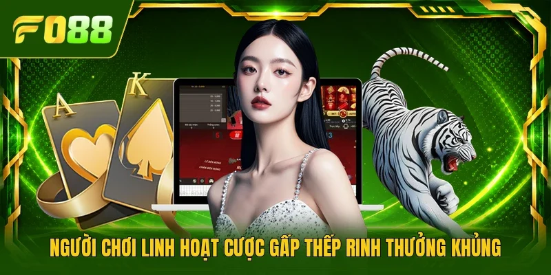Người chơi linh hoạt cược gấp thếp rinh thưởng khủng