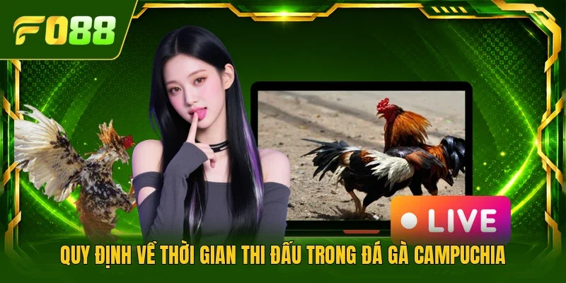 Quy định về thời gian thi đấu trong đá gà Campuchia