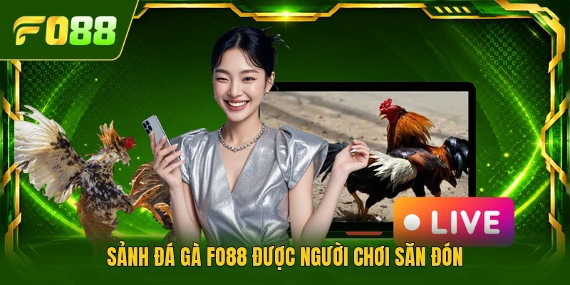 Sảnh đá gà FO88 được người chơi săn đón