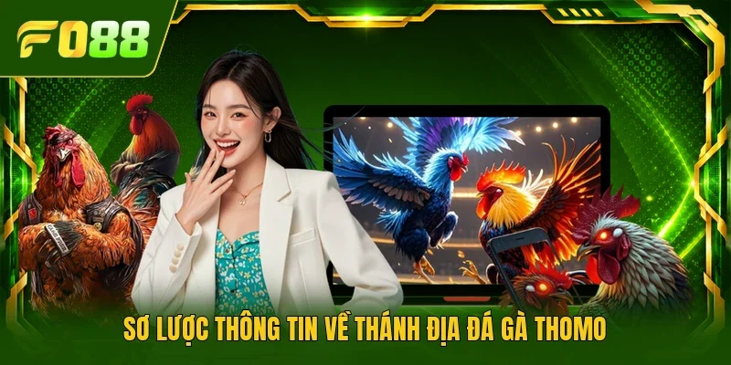 Sơ lược thông tin về thánh địa đá gà Thomo